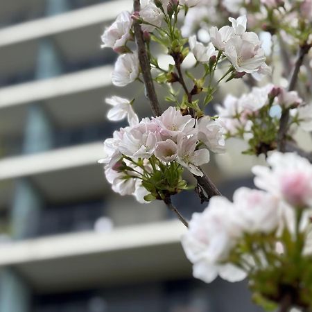 Japandi Studio Apartment, Free Parking Budapeste Exterior foto